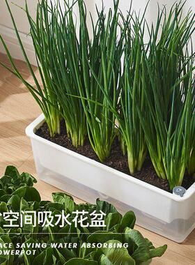 家用种葱自吸水花盆长方形盆种菜盆阳台小葱种植盆带土蔬菜专用盆