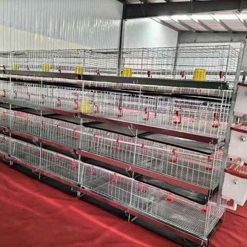 现货立式四层小鸡笼育雏鸡笼层叠式养鸡笼养鸡设备养殖场鸡舍用 - 图1