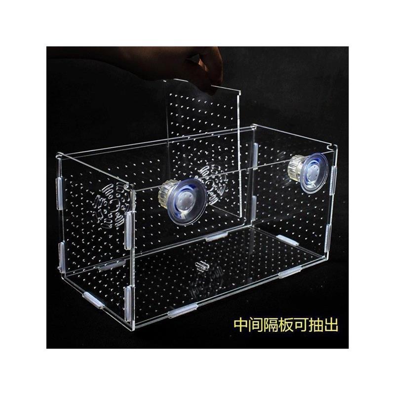 孔雀鱼新款特大号鱼缸带盖大小号繁殖箱乌龟隔板小鱼苗隔离盒鱼网 - 图3