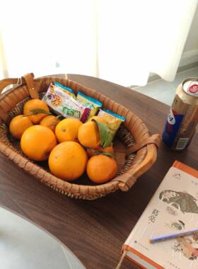 经典复古椭圆形编织果盘手工制作家用摆饰水果篮果盘零食盒桌面