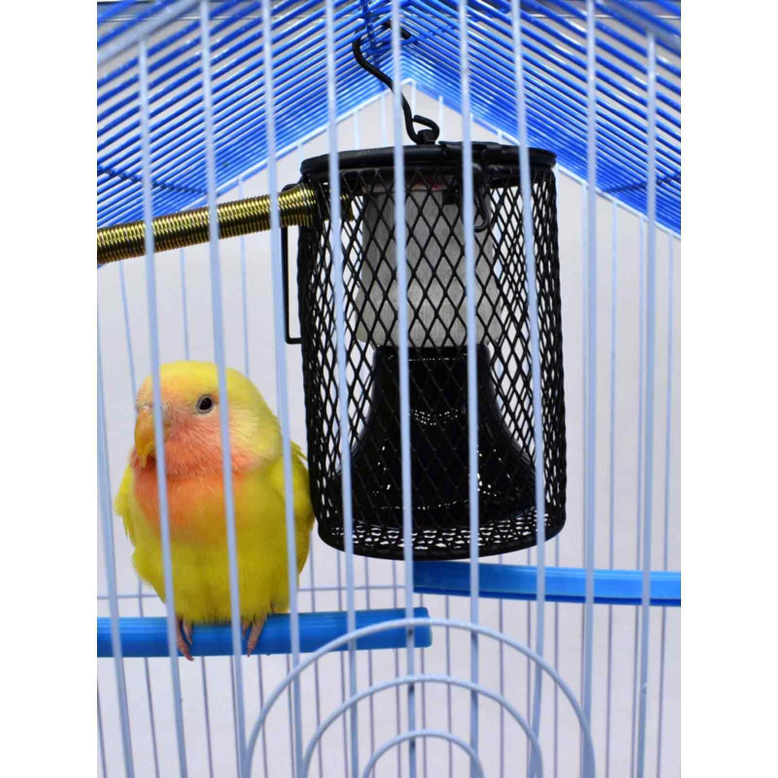 鹦鹉暖灯孵化器加热灯密集袋鼠爬行动物供应虎皮鹦鹉鸟笼加热器,淘宝优惠券,粉丝福利购,淘宝优惠卷