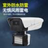 HD black light full color night vision POE powered zoom network camera outdoor waterproof wired security monitor