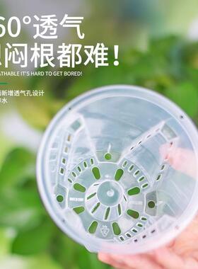 透明青山控根盆兰花水苔蝴蝶兰专用花盆塑料透气镂空大号花盆家用