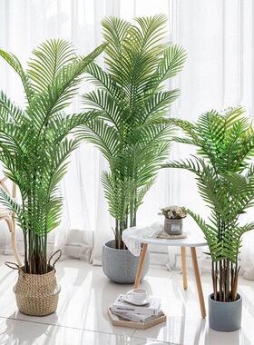 彷真绿色植物散尾葵高端轻奢客厅落地大型盆栽室内盆景装饰树假植
