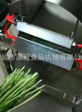 快速韭菜去皮机不锈钢小葱蒜黄去泥吹皮机自动感应韭菜脱皮机现货