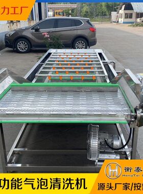 蔬菜清洗机果蔬喷淋式洗菜机全自动不锈钢气泡效水果预制菜