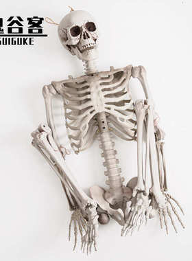 万圣节骷髅骨架仿真热销塑鬼屋密室道具165cm人体骨架装饰