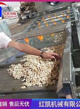 供应全自动大枣清洗机 不锈钢鼓泡翻浪式果蔬清洗机 厂家供应