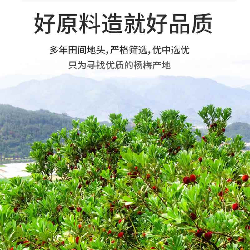 夏季冰镇杨梅汁浓缩果汁解渴袋装速溶颗粒固体饮料冷水冲泡果蔬汁 - 图1