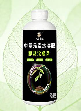 定根壮苗防移栽损伤中量元素水溶肥防黄叶促生长移栽定植灵营养液