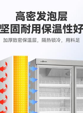 穗凌冰柜冷藏展示柜商用铜管风冷无霜饮料分体机冰箱WB款源头工厂