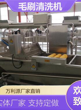 毛刷气泡清洗机304不锈钢果蔬清洗机压喷淋毛辊去杂清洗设备