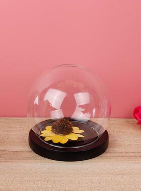 直销新款半球玻璃罩永生花手办玻璃罩 实木底座灯饰玻璃罩烘焙装