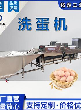 保洁蛋清洗设备全自动鸡蛋清洗机适合鸡蛋鸭蛋一台机器洗蛋机