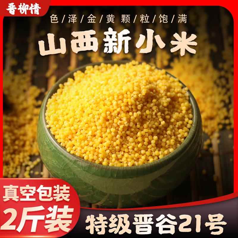 晋谷21号小米粥山西特产黄小米新米五谷杂粮新鲜小黄米粥食用糯小 - 图1