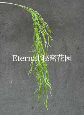 龙须草仿真花龙柳须壁挂藤条垂柳 柔丽丝吊米植物墙垂吊千丝万缕