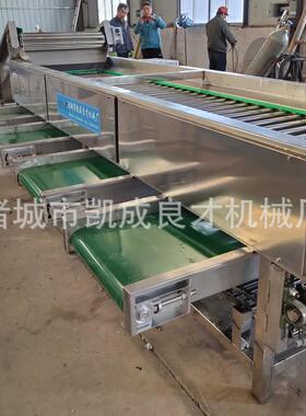 滚杠式选果机良才牌地黄分级机白芍分级机果蔬加工设备