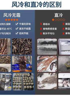 速冻冰柜商用零下45度速冻柜大容量肉类包子急冻插盘式海鲜速冻机
