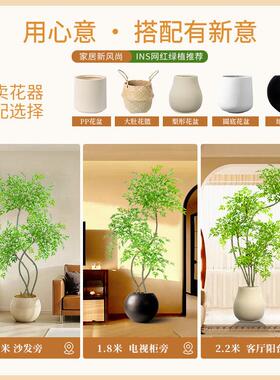 彷真绿色植物南天竹室内装饰假植物客厅阳台装饰树落地摆件盆栽彷