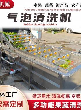 净菜加工气清泡洗机红枣辣椒中凯机械淋果气泡清洗机压喷果蔬清蔬