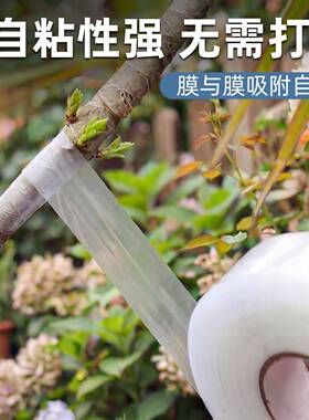 糯米纸嫁接膜月季蔷薇嫁接膜免拆可降解防水透气园艺专用自粘绑带