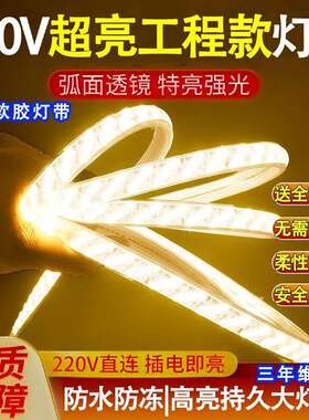 220v灯带led灯家用顶户外工程亮化防水客厅招牌五排超亮防水线灯