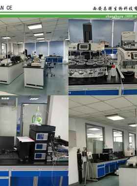 玛卡提取物水溶玛卡粉植物比例提取物生产浓缩萃取粉现货包邮