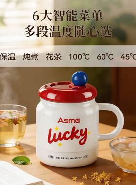 艾仕玛幸运杯电炖杯小型便携式烧水杯办公室养生杯一人热奶电热杯