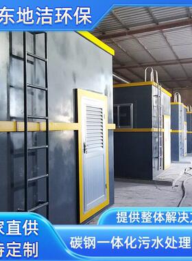 全自动成套碳钢一体化污水处理设备  新农村改造生活污水处理装置