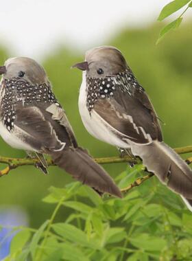 彷真泡沫羽毛麻雀小鸟摆件教学道具假鸟窝蛋巢田园林院手工装饰品