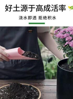营养土养花通用专用兰花多肉君子兰种植颗粒泥土家用种菜通气疏松