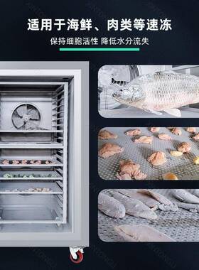 食品级液氮速冻柜小型商用液氮冷冻设备海鲜果蔬肉类液氮速冻机