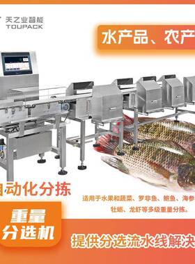 定制海产品多级重量分选机多级分选机海参鲍鱼重量分选系统