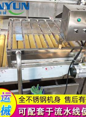 厂家供应 小型毛辊清洗机 莲藕山去皮毛辊清洗机 胡萝卜清洗机