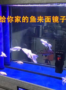 给鱼照镜子鱼缸斗鱼水族箱增强灯光反光造景装饰可弯曲自粘软镜子
