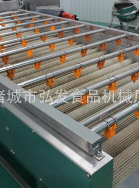 厂家商用果蔬气泡喷淋式清洗机多功能洗菜机清洗设备流水线番茄