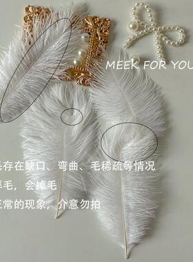 高级感婚礼羽毛路引装饰摆设小众超仙饰品美甲演出拍照diy道具