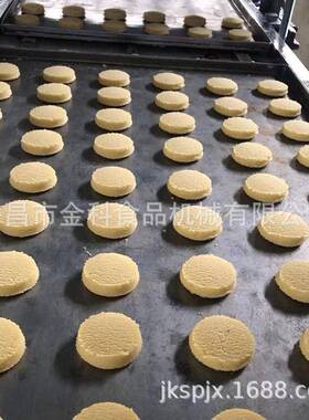 金科食品机械饼干热风炉 400型多功能电子定位果仁酥炭烧饼成型机
