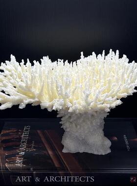 极简主义现代模型房，书房陈设模拟珊瑚饰品售楼处装饰柜显示亚克