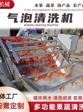 净菜加工气泡清洗机红枣辣椒果蔬气泡清洗机压喷淋果蔬清洗设备