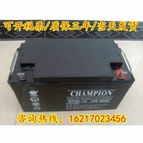 CHAMPION志成冠军UPS蓄电池NP100-12/12v7a17a24a38a65a100a120ah - 图1