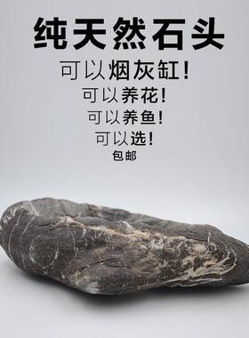 石头花盆创意摆件天然禅意多肉铜钱草菖蒲水培容器室内客厅观光石