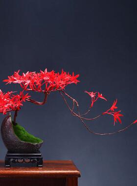 中式小迎客松摆件仿真假花客厅玄关桌面摆设绿植古风摄影道具盆景