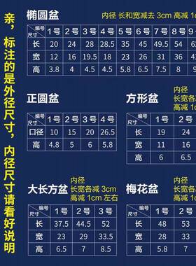 吸水石底座盆假山盆水仙多肉盆景盆椭圆形盆栽青花瓷花盆包邮