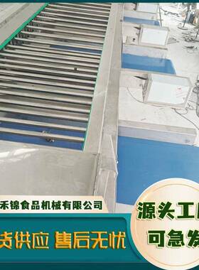 滚杠土豆红薯分选机西红柿蔬菜分选设备商用轨道式葱头分选机