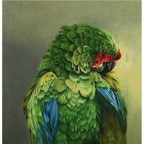 Embroidery handmade biking embroidered Parrot Masters work True silk Home Decorative Hanging Paintings Collection Gifts