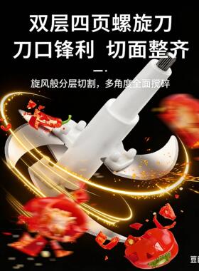 绞肉机龙德利大容量多功能电动家用搅拌不锈钢碎肉馅菜剁辣椒打蒜