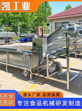 果蔬气泡清洗机西蓝花生菜喷淋洗菜机豆角大葱芸豆净菜加工设备