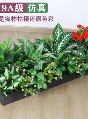 花植槽花箱组合泡沫套隔断遮挡彷真绿色物室内外饭装墙角JNT装厅
