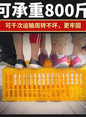鸡用周转箱运输蛋鸡鸡笼加强型特大成鸡鸭鹅鸽子兔笼搅拌机机械